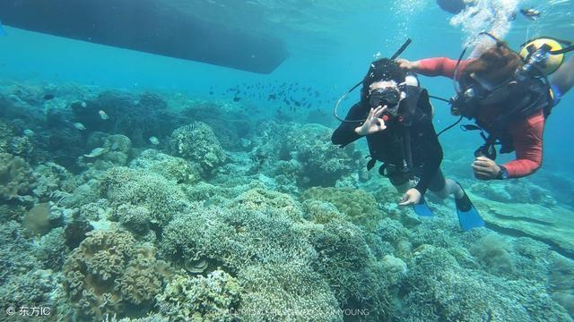 海关总署发布《中华人民共和国海关对横琴粤澳深度合作区加工增值货物内销税收征管办法》